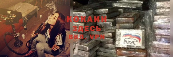 стаф Абаза