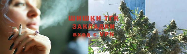 стаф Абаза